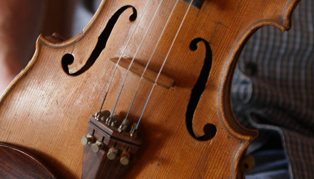The waist and bridge of Kelly's fiddle