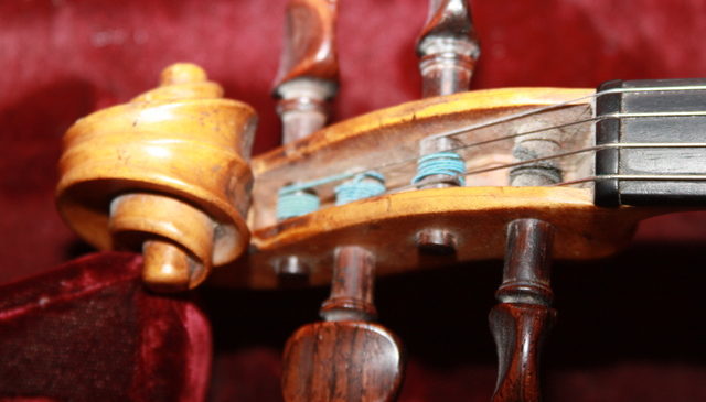 The scroll and tuning pegs of Kelly's fiddle