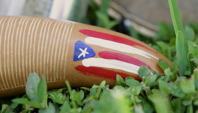Puerto Rican flag painted on the güiro